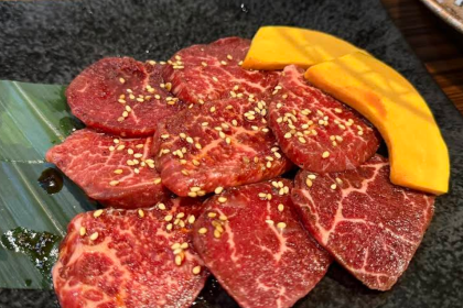 Sumibiyakiniku Kankokuryori KollaBo Ginzaten