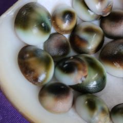 珊瑚海鲜饭店 User Photo