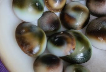 珊瑚海鮮飯店用戶圖片