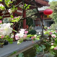 Tang Dynasty Art Garden Hotel Xi'an Shanxi Guan Fu Cuisine User Photo