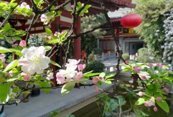 西安大唐博相府飯店（大雁塔大唐不夜城店）·陝西官府菜張用戶圖片