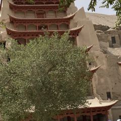 靖远羊羔肉酒家(阳关东路店) User Photo