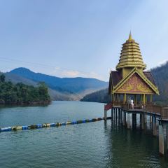 热带雨林望天树景区 User Photo