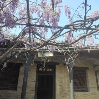 評論圖片 6