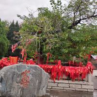 評論圖片 5