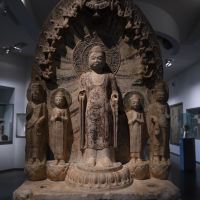 評論圖片 5