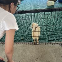 評論圖片 8