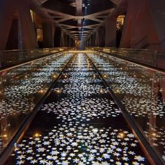 北京海湾半山温泉酒店·西餐厅 여행 사진
