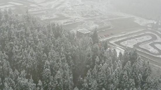 漫步在龙苍沟的林间小路，感受大自然的宁静和美丽，清新空气让人