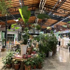 南岸时光 User Photo