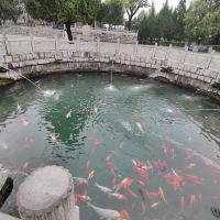評論圖片 4
