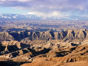 Zunda Tulin National Geological Park - gravel-bearing soil forest
