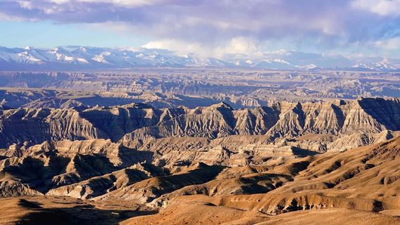 Zunda Tulin National Geological Park - gravel-bearing soil forest