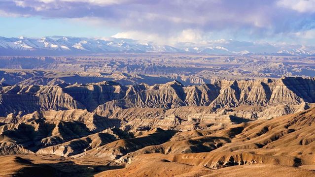Zunda Tulin National Geological Park - gravel-bearing soil forest
