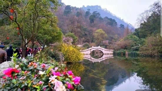 九山公园是温州市鹿城区一座绿带式湖山公园，包括松台山，九山长