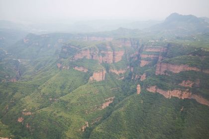 三街大队拽面馆总部(武安国际商贸城店)