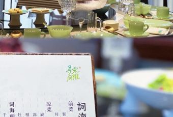 SONG FENG YA YAN User Photo