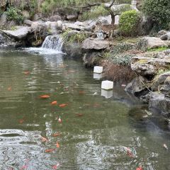 JUBILEE GARDEN User Photo