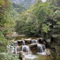 評論圖片 1