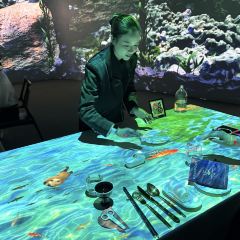 TASTE OF CHINA Immersive Dining User Photo