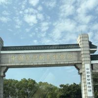 評論圖片 5