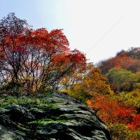 評論圖片 1