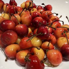 開臣K飯店·四季薈海鮮姿造美學餐廳張用戶圖片