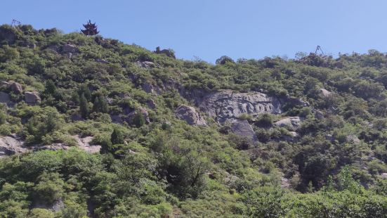 鹊山是春秋战国时期的扁鹊神医的地方，山脚下紧邻的就是鹊山村，