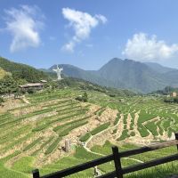 評論圖片 1