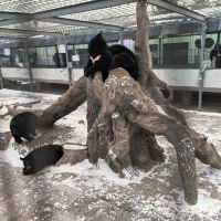 評論圖片 2