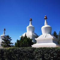 評論圖片 1