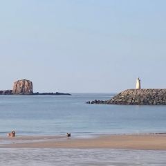 嵊泗畫沙海景咖啡民宿（會城店）·咖啡廳張用戶圖片