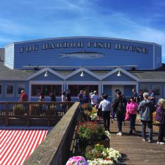 Fog Harbor Fish House User Photo