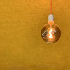 咖啡与树 User Photo