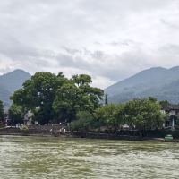 評論圖片 4