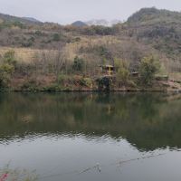 評論圖片 2