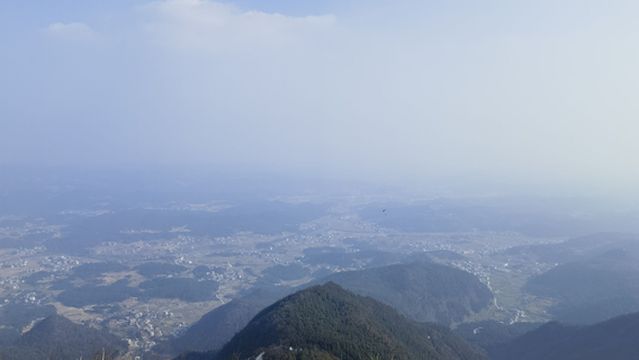 Dadongshan Forest Farm