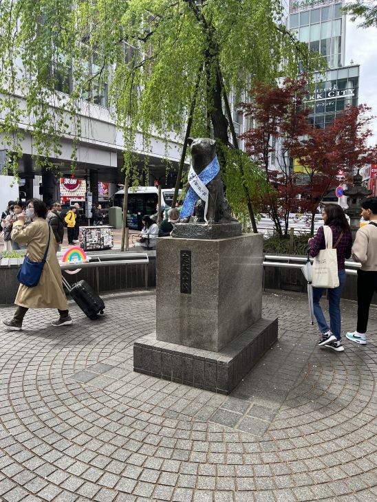 Hachiko Statue Tickets [2026] - Promos, Prices, Reviews & Opening