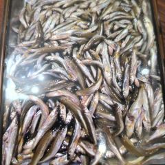 QING FENG YUAN FAN DIAN User Photo