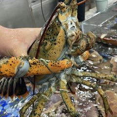 小螺号·蒸汽海鲜连锁餐厅(第三海水浴场店) User Photo