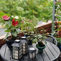 SURE唯尚花园西餐厅 User Photo