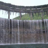評論圖片 5