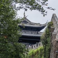 評論圖片 2