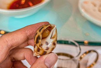 YU MANSION User Photo