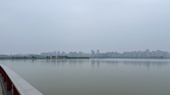 沿着環湖東路向南騎行更能感受到龍子湖原生態的美，茂密的樹林，