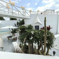 大理松云悬崖酒店·松云悬崖海景餐厅 User Photo