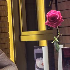Aurora Restaurant User Photo
