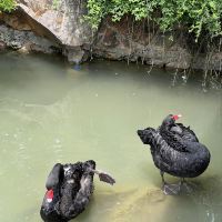 評論圖片 5