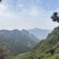 評論圖片 1