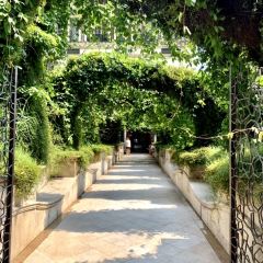 boheng 55 User Photo